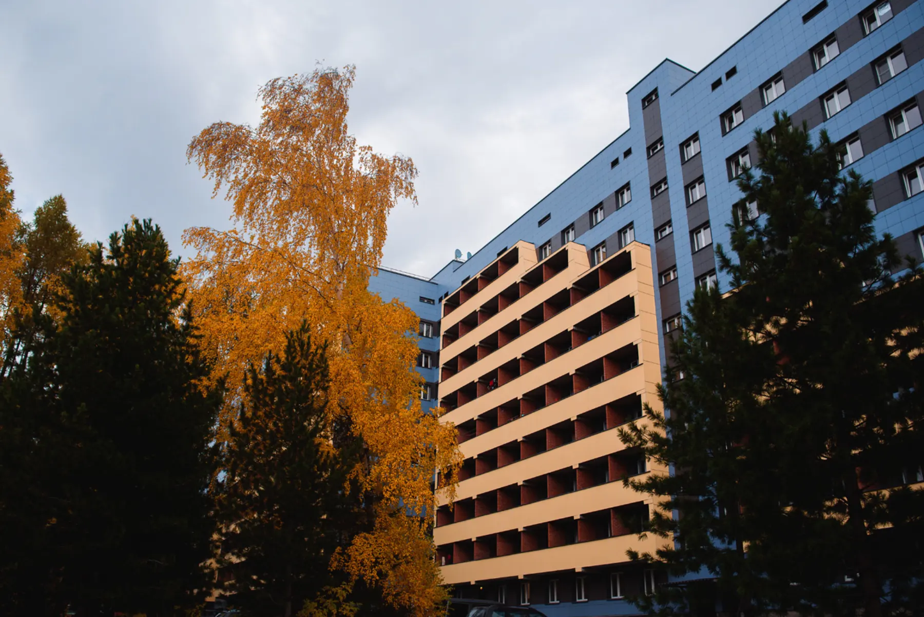 Современное общежитие студенческого городка НГУ в осеннем Академгородке