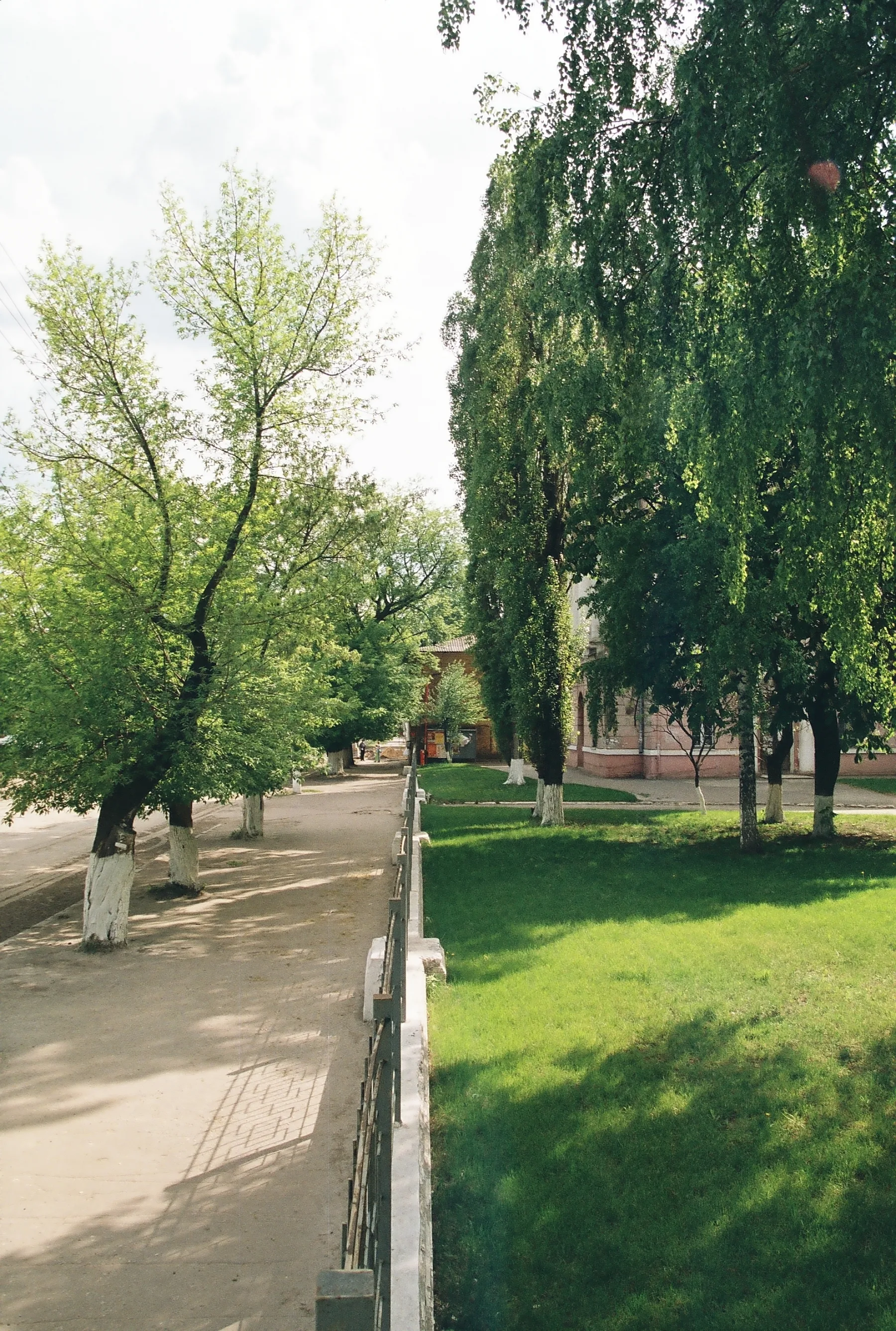 Пешеходная дорожка и учебный корпус на территории ВГПУ