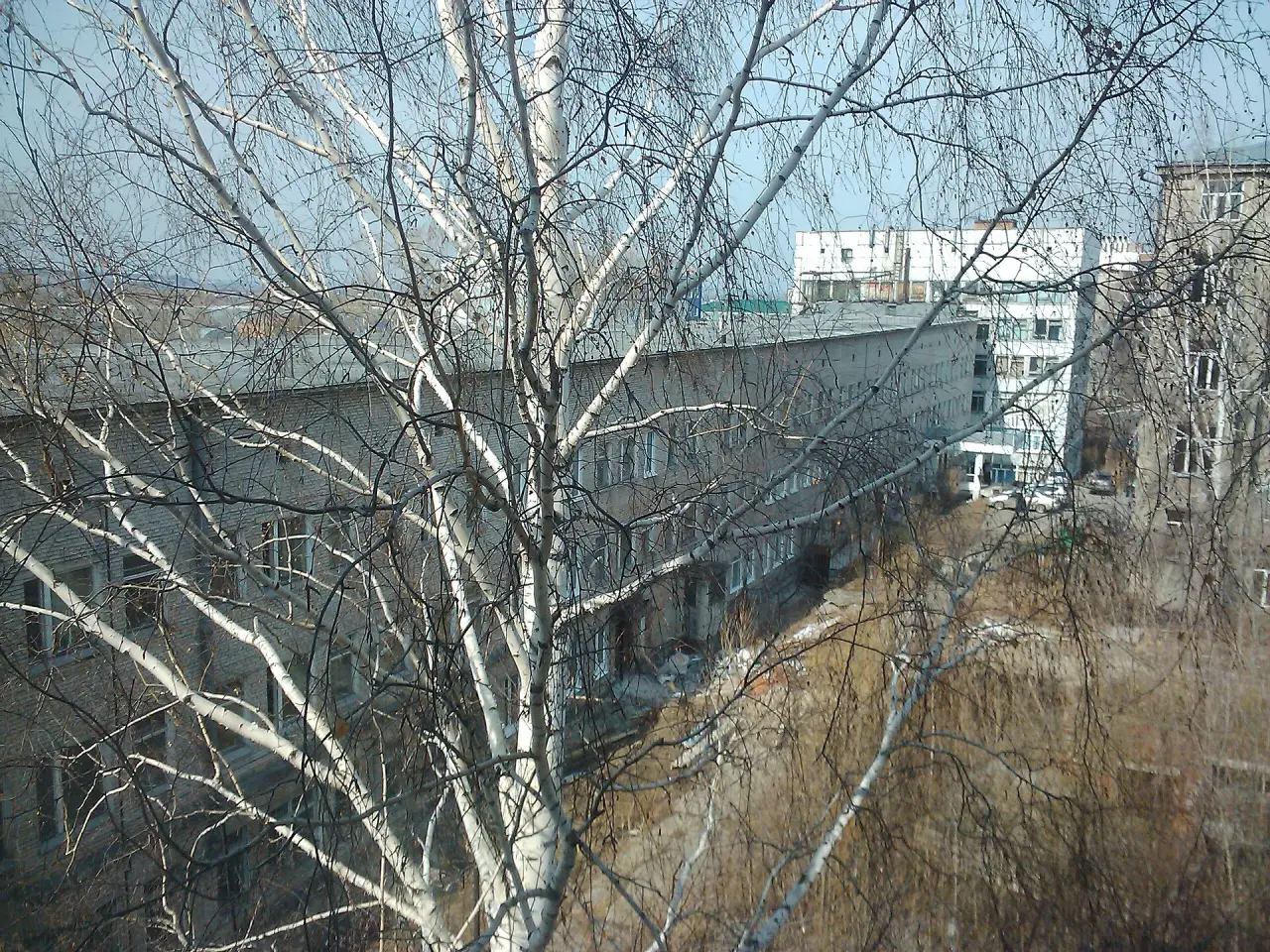 Учебный корпус Томского государственного университета и территория кампуса
